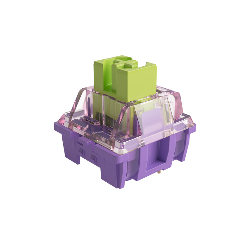 Akko CS Switches - Starfish