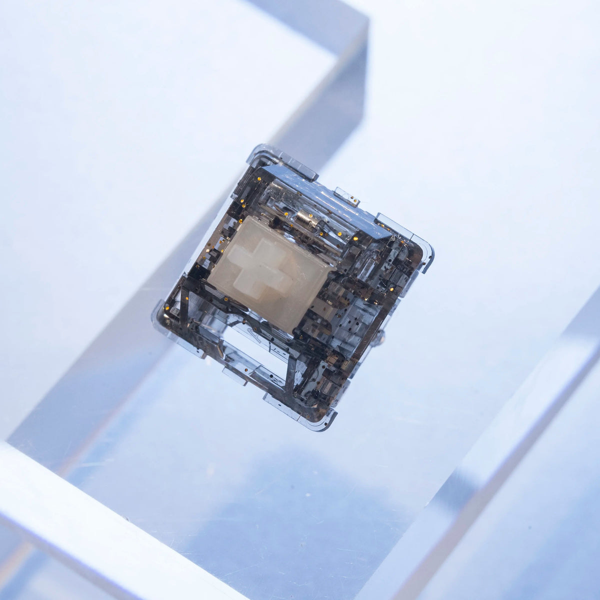 BLACKeys Golden Crystal Switch