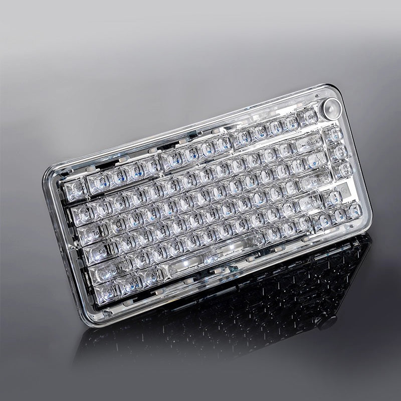 ColorReco F81/F81 Pro Transparent Mechanical Keyboard