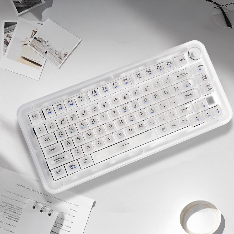 ColorReco F81/F81 Pro Transparent Mechanical Keyboard