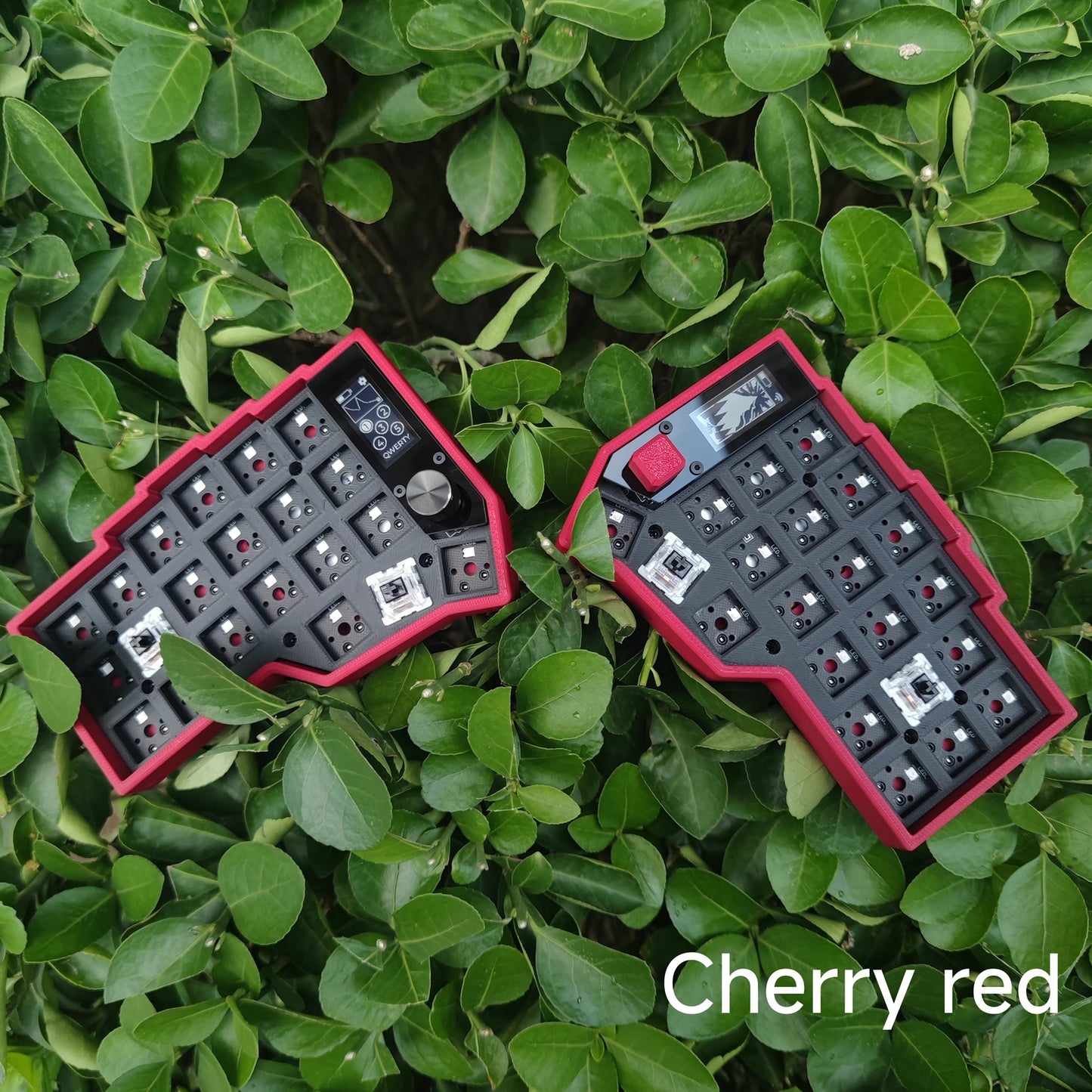 Corne Split Keyboard