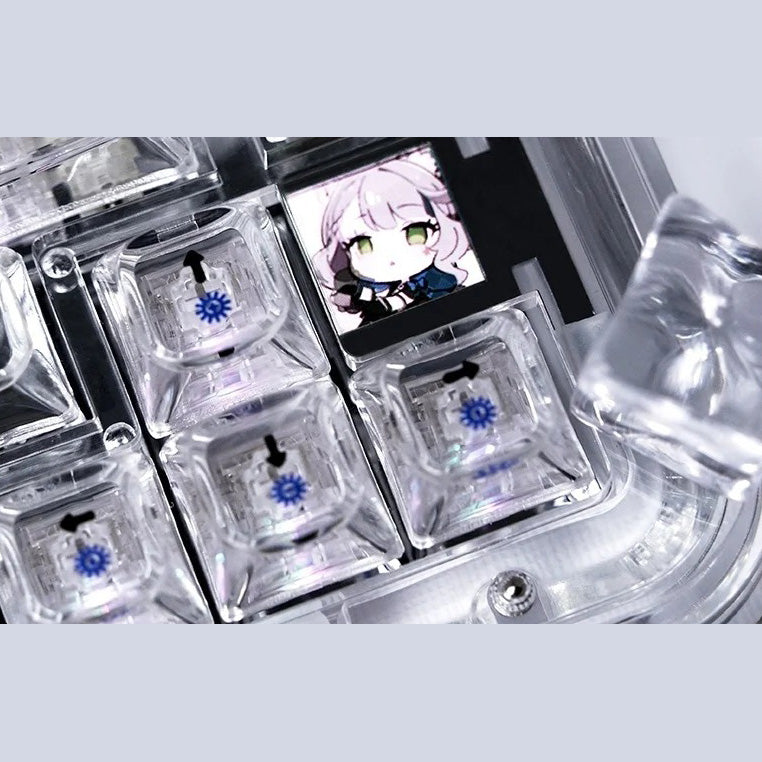 ColorReco F81/F81 Pro Transparent Mechanical Keyboard