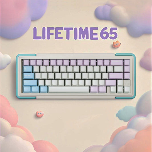 Lifetime 65 Aluminum Mechanical Wireless Keyboard Barebone