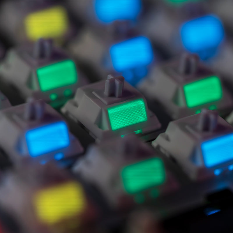 WS Morandi Switches