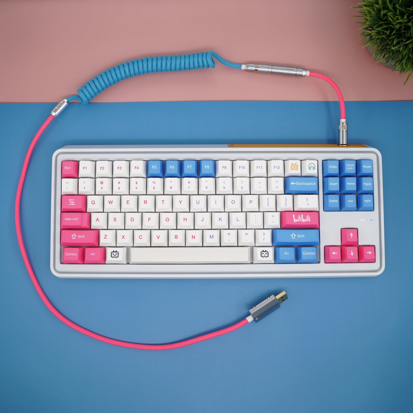 Sleeved Coiled Keyboard Aviator Cable, Lemo Style Connector - Blue/Pink