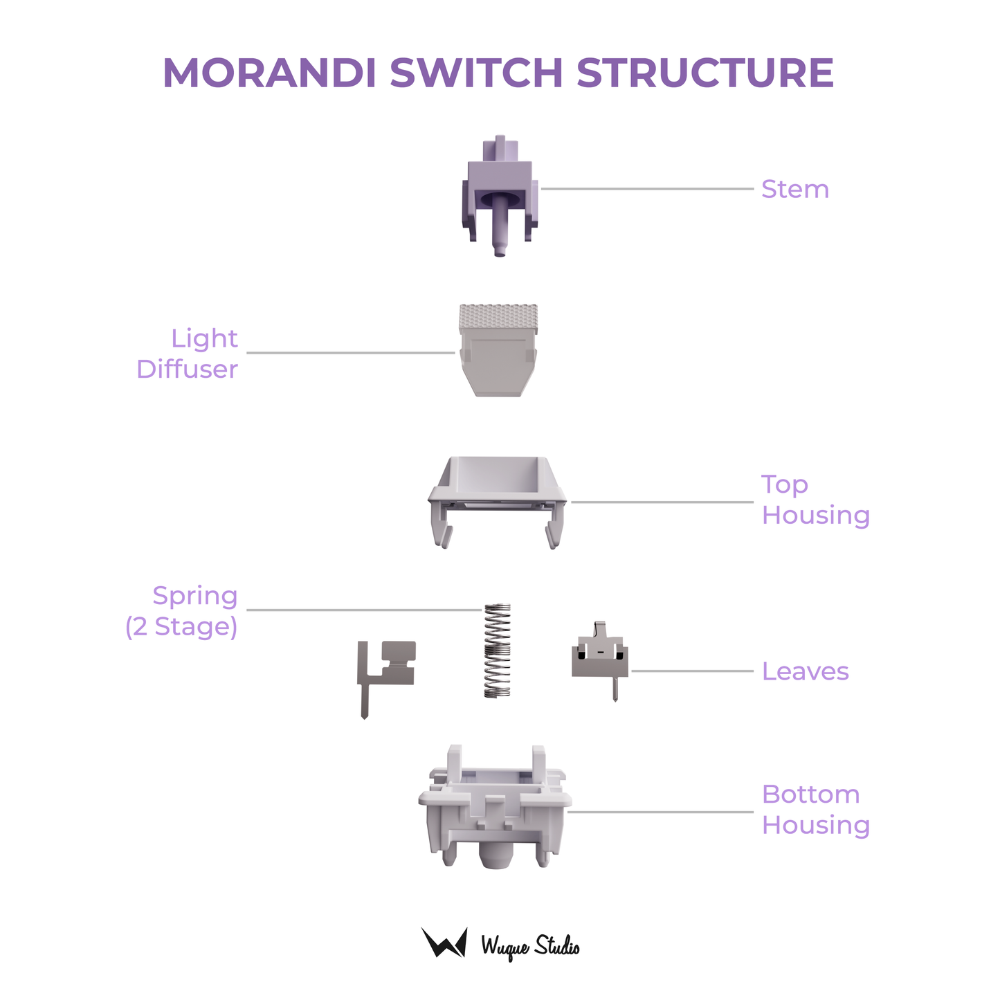 WS Morandi Switches