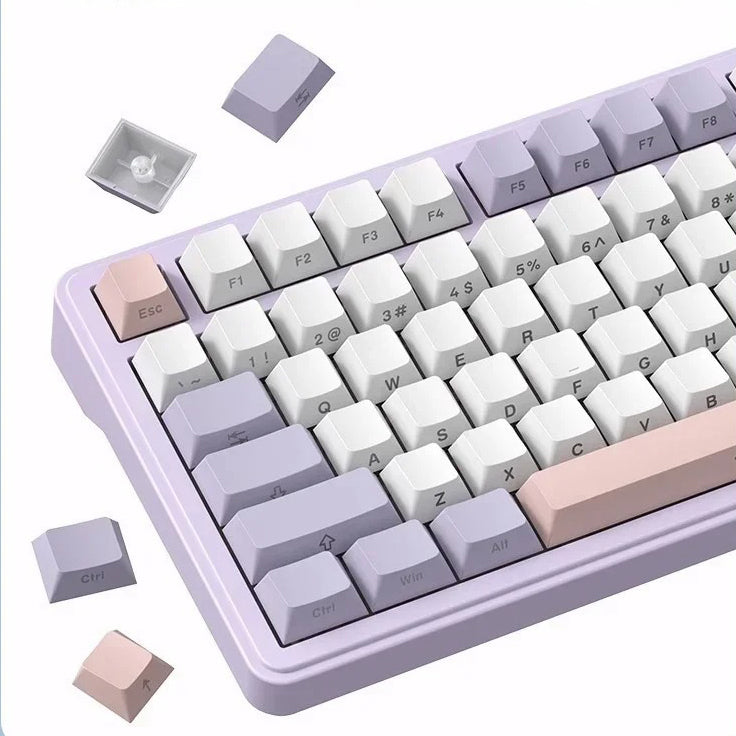 Xinmeng M75 Gasket Mechanical Keyboard