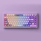 Monsgeek M1W Color Coated Aluminum Wireless Mechanical Pre-built Keyboard