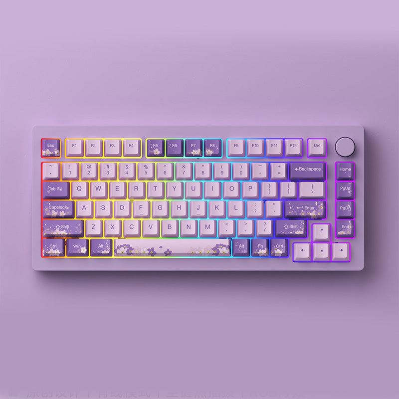 Monsgeek M1W Color Coated Aluminum Wireless Mechanical Pre-built Keyboard