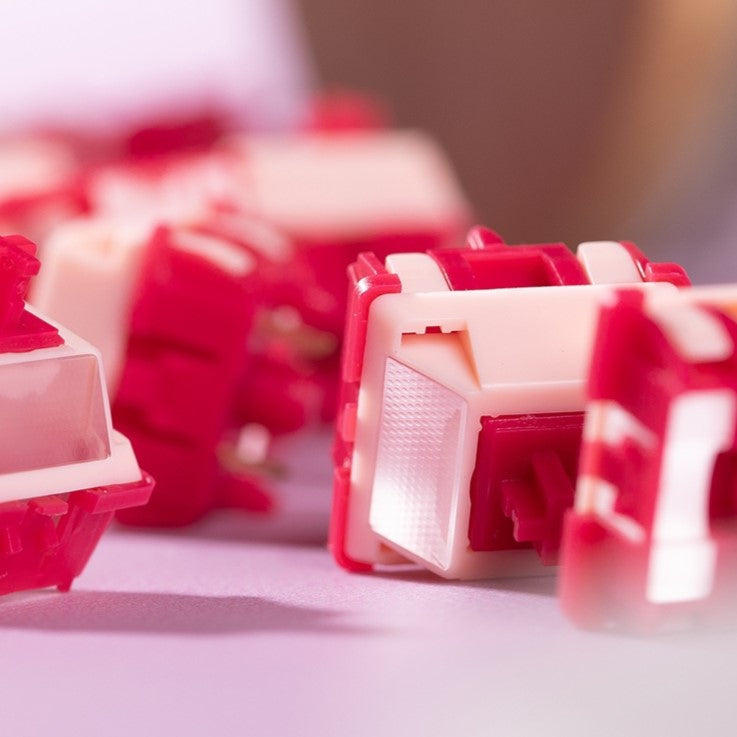 Chaosera & AYB Cupid Switches