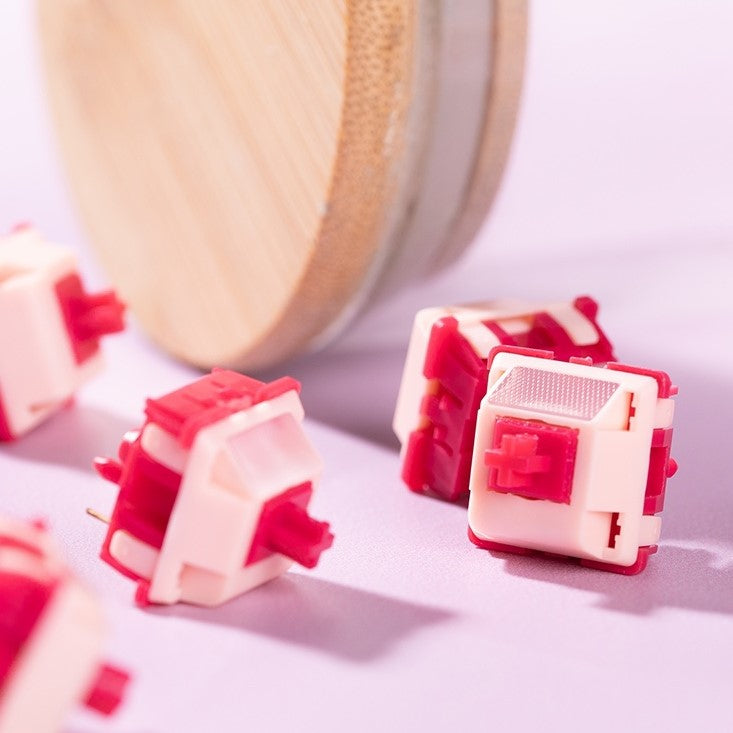 Chaosera & AYB Cupid Switches