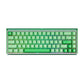 Akko Ray68 HE Magnetic Gaming Keyboard