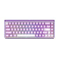 Akko Ray68 HE Magnetic Gaming Keyboard