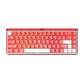 Akko Ray68 HE Magnetic Gaming Keyboard