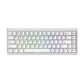 Akko Ray68 HE Magnetic Gaming Keyboard