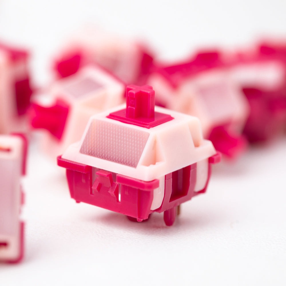 Chaosera & AYB Cupid Switches