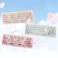 Cidoo Nebula 65% Cute Gasket Mechanical Keyboard