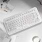 ColorReco F81/F81 Pro Transparent Mechanical Keyboard