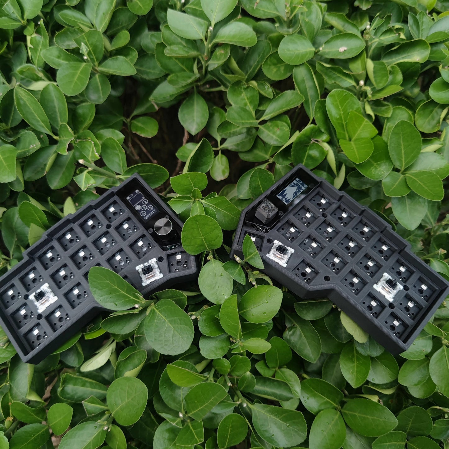 Corne Split Keyboard