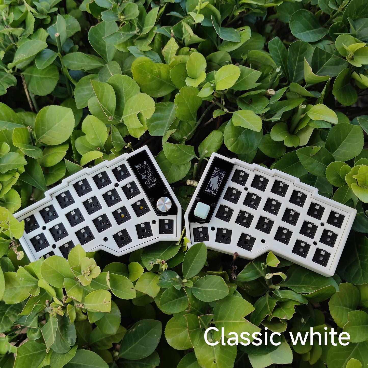 Corne Split Keyboard