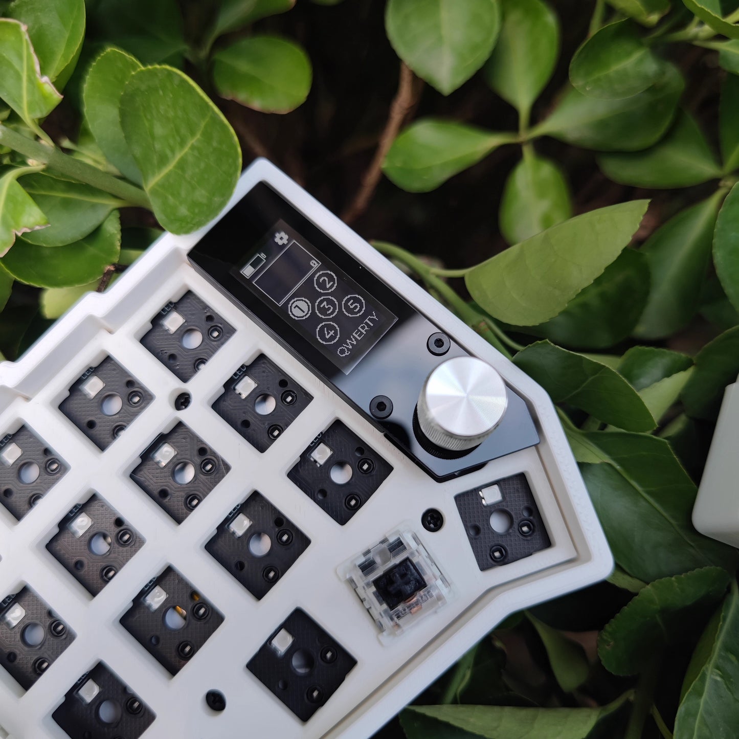 Corne Split Keyboard