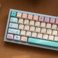 FBB Digital Pet Keycap Set, Cherry Profile, Dye Sub PBT
