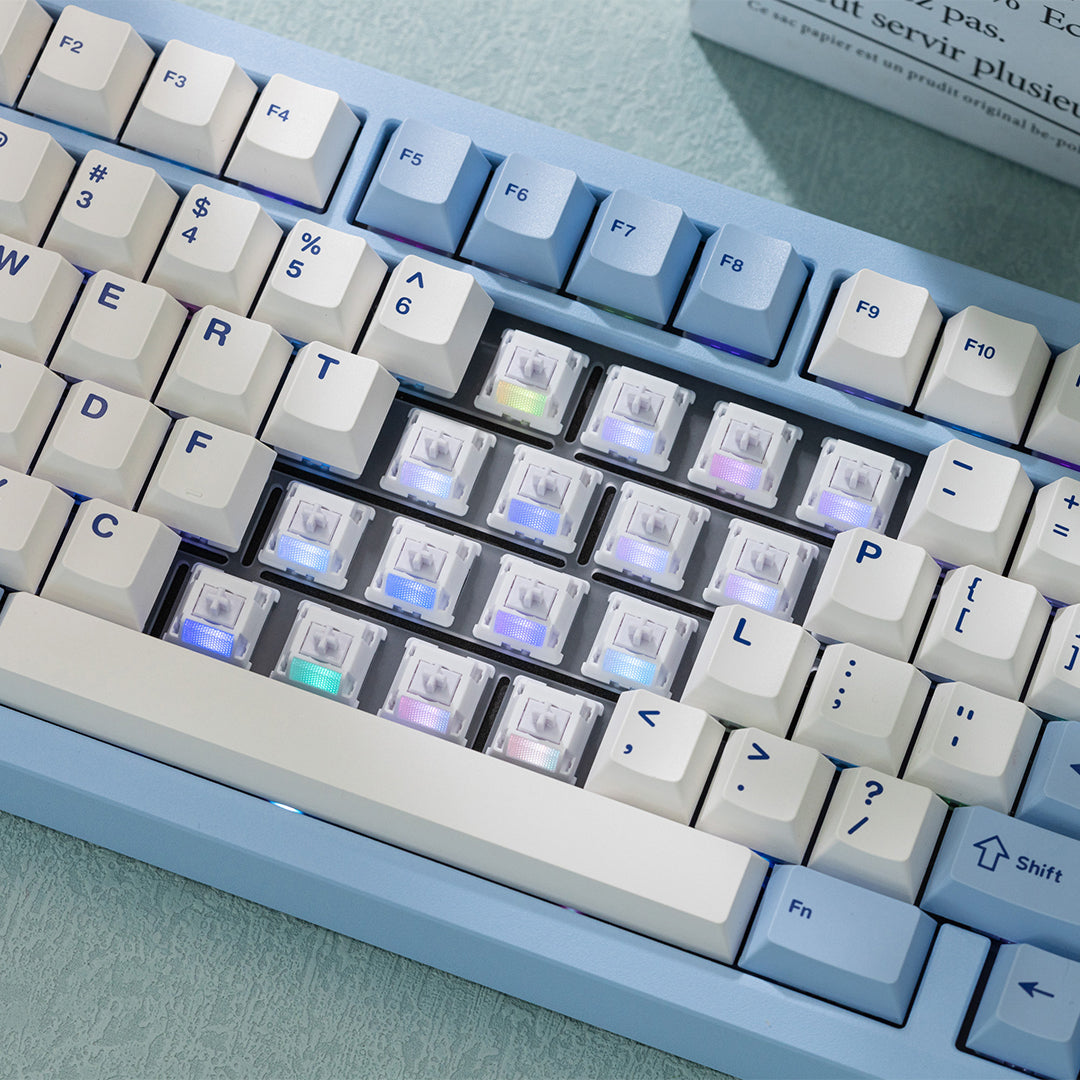 WS Morandi Switches