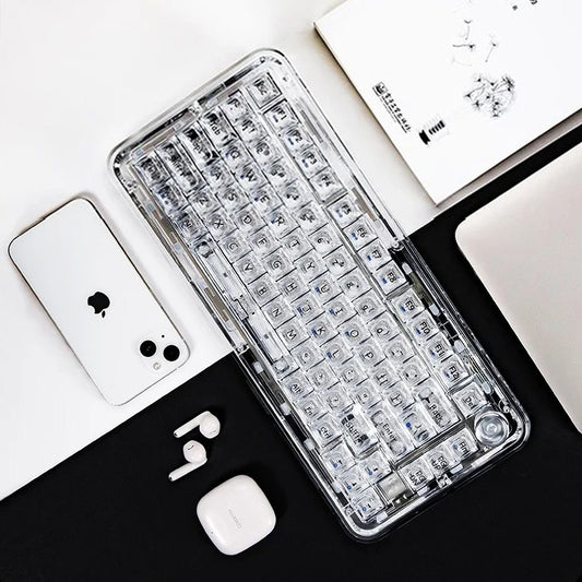 ColorReco F81/F81 Pro Transparent Mechanical Keyboard