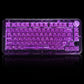 ColorReco F81/F81 Pro Transparent Mechanical Keyboard