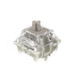 Gateron Baby Racoon 2.0 Switches