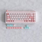 80Retros GAME 1989 65 (GB65) Mechanical Keyboard