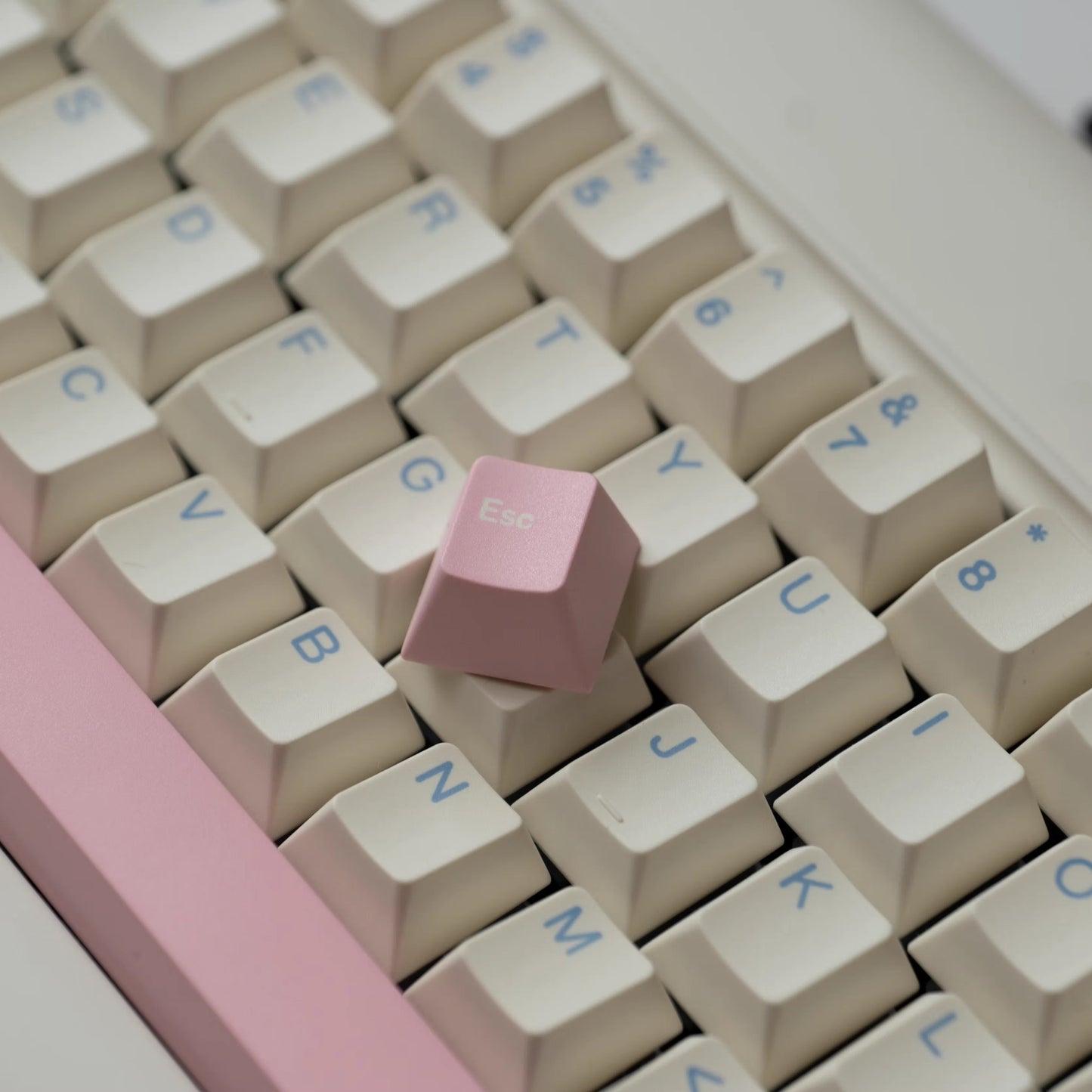 Gift Keycap Set, Cherry Profile, Dye Sub PBT Key Cap