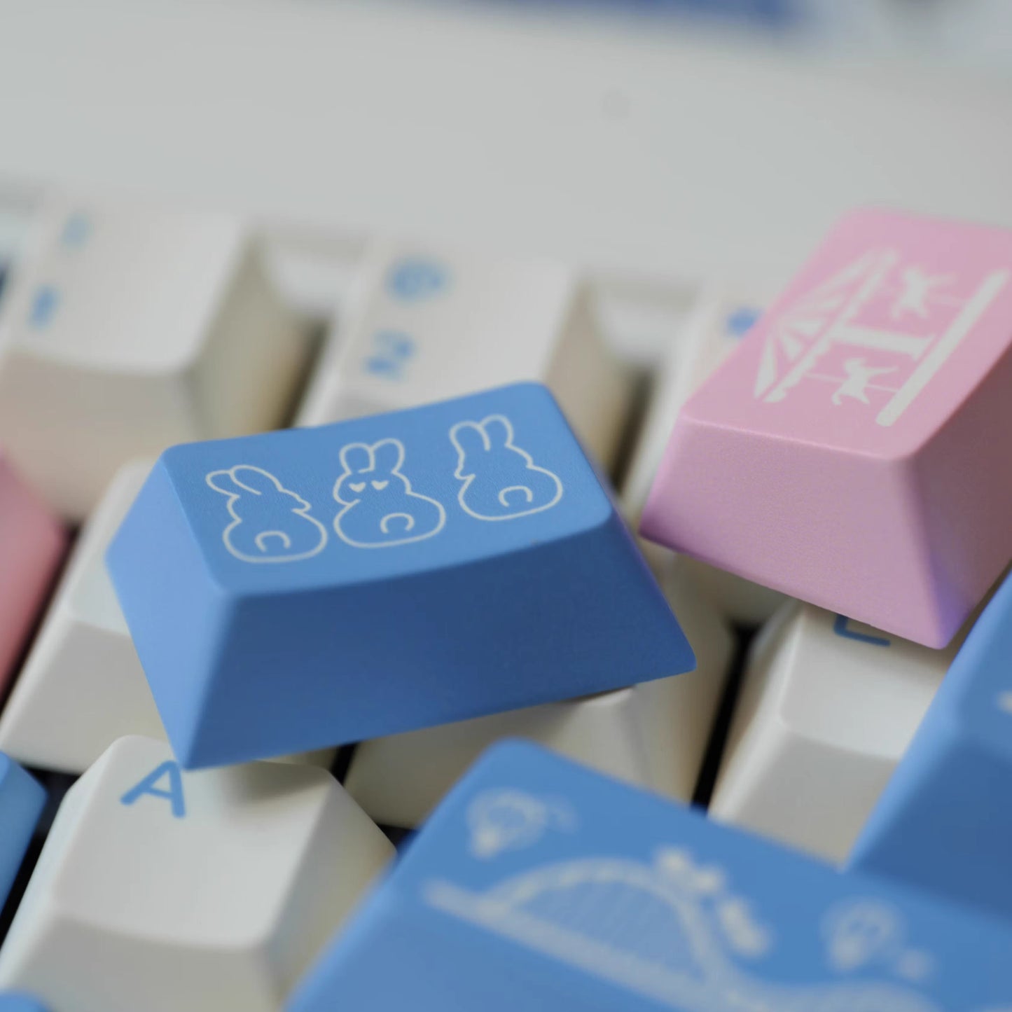 Gift Keycap Set, Cherry Profile, Dye Sub PBT Key Cap