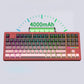 HJS AL87 Custom Mechanical Keyboard Barebone