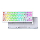 HJS AL87 Custom Mechanical Keyboard Barebone