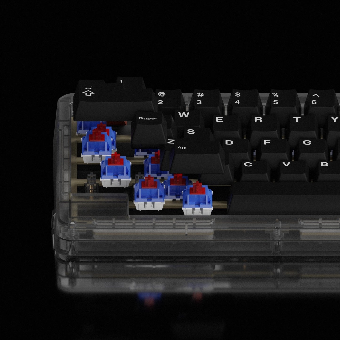 BCK x HMX Martini Switches