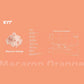KTT Macaron Series (7 Colors) Switches