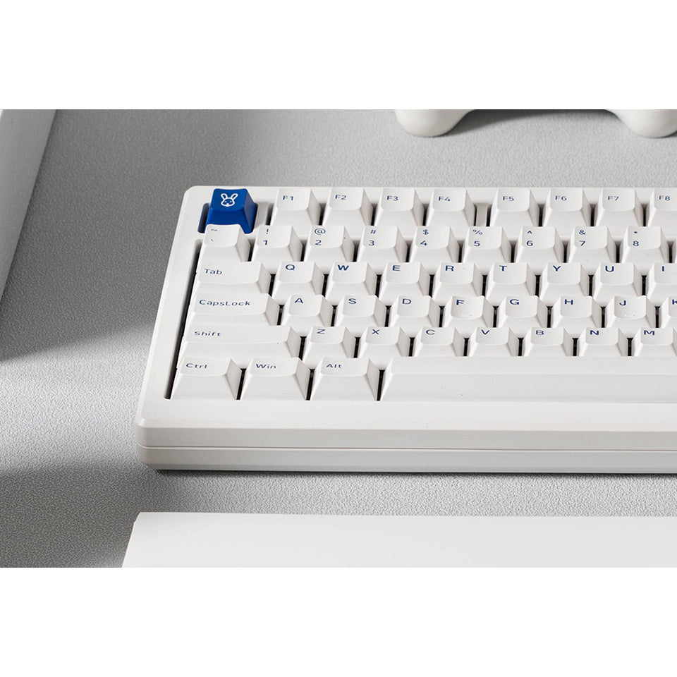 Akko MOD 007 PC 75% Gasket Mechanical Keyboard