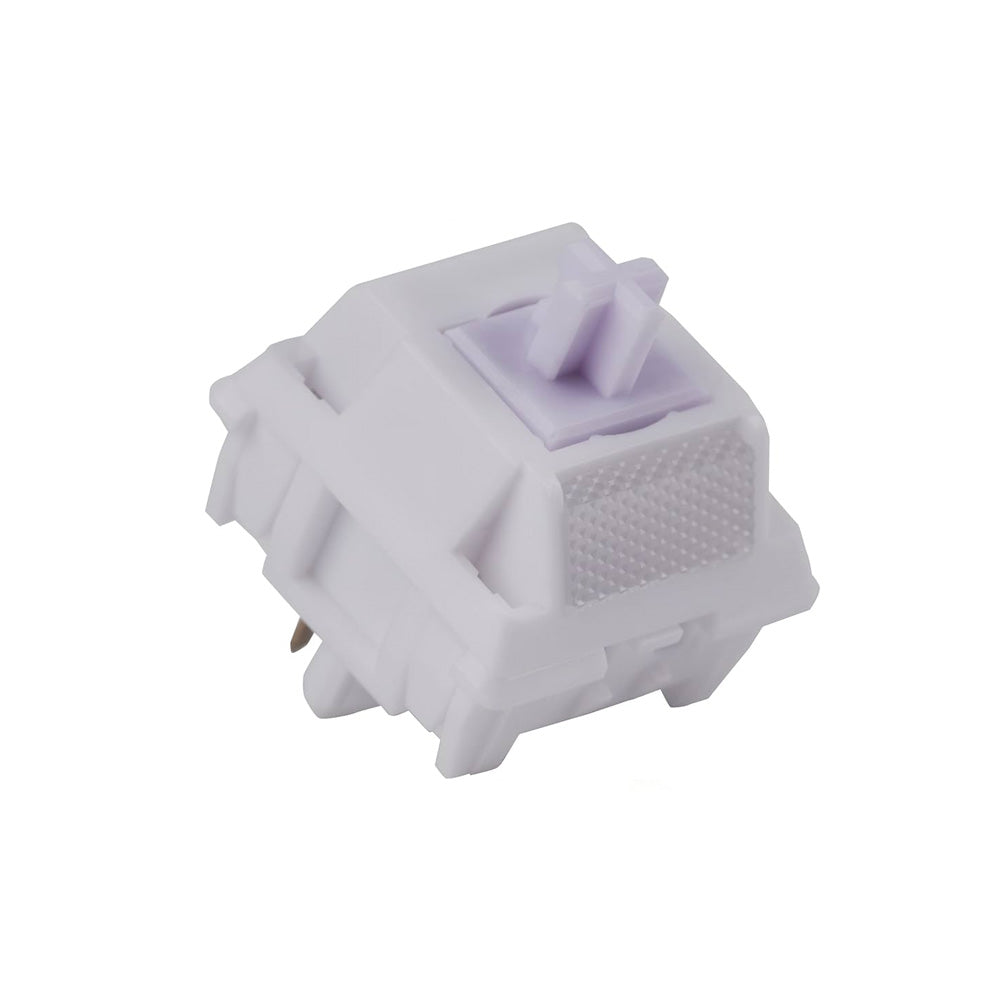 WS Morandi Switches