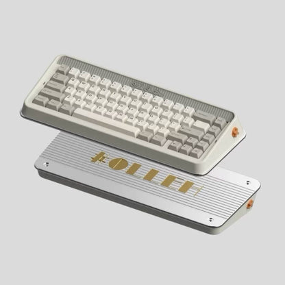 #OLLEH65 Mechanical Keyboard Barebone Kit