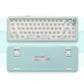OMO65 Cute Mechanical Keyboard Barebone