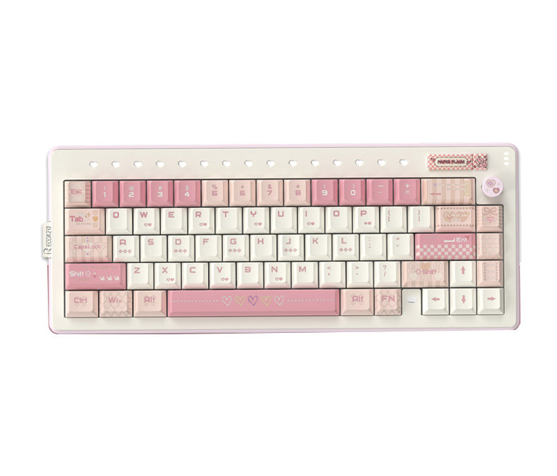 Reccazr Plane66 Aluminum Gasket Wireless Mechanical Keyboard – Nouvolo