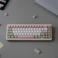Retro Pink Keycap Set, Cherry Profile, PBT Dye Sub Key Cap