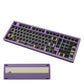 SC100 Custom Mechanical Keyboard Barebone
