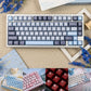 Semi-transparent Keycap Set, Cherry Profile, Double Shot PBT + Transparent PC Keycap