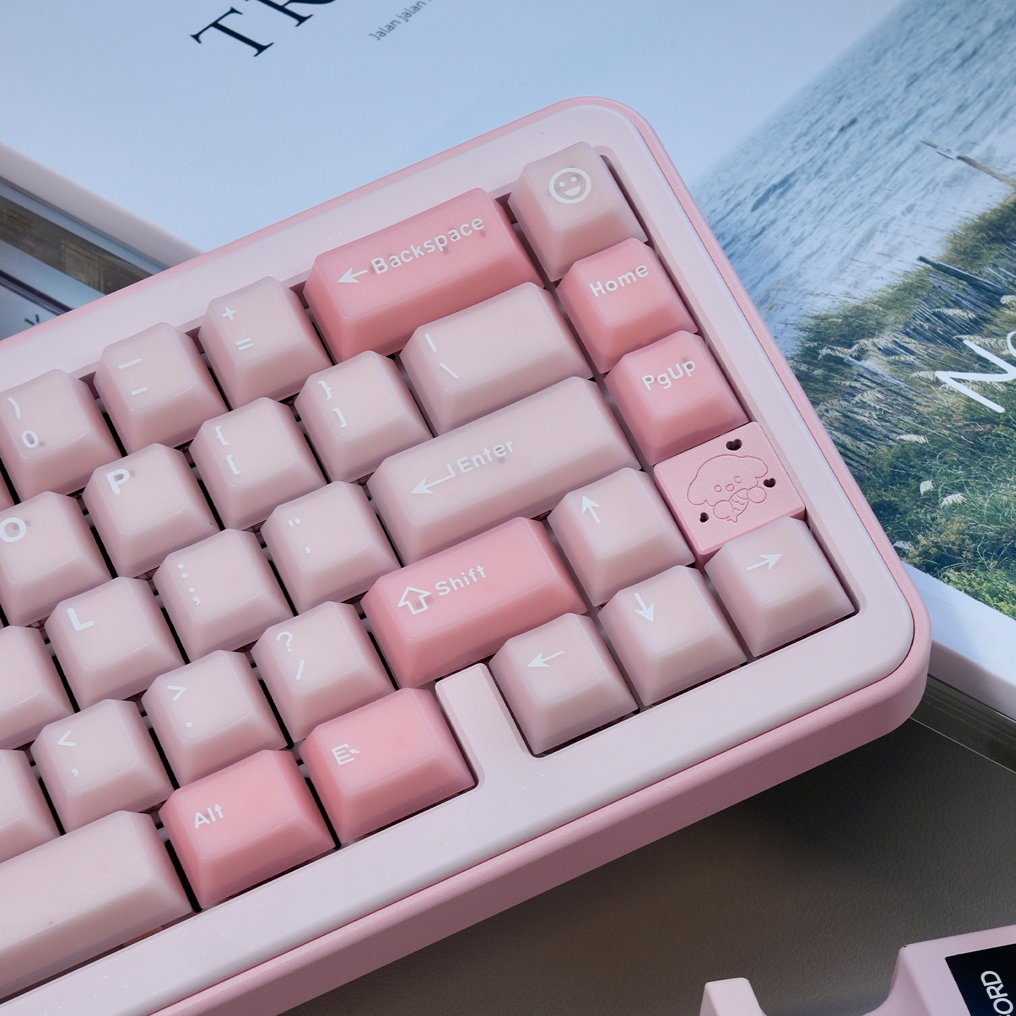 Sakura Jade Semi-transparent Keycap Set, Cherry Profile, Double Shot PBT + Transparent PC Keycap