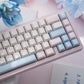 Semi-transparent Keycap Set, Cherry Profile, Double Shot PBT + Transparent PC Keycap
