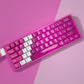 Snow Mountain Keycap Set, Cherry Profile, Dye Sub PBT + Transparent PC