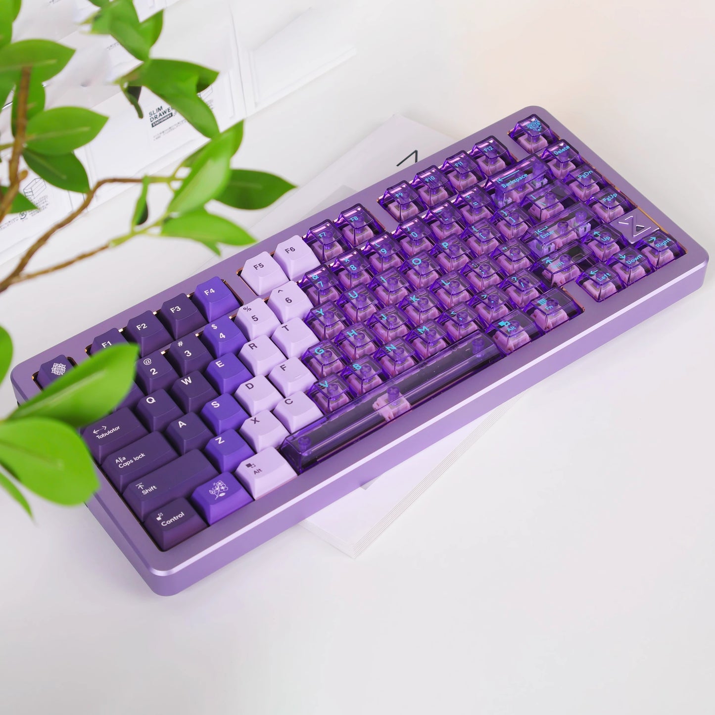 Snow Mountain Keycap Set, Cherry Profile, Dye Sub PBT + Transparent PC