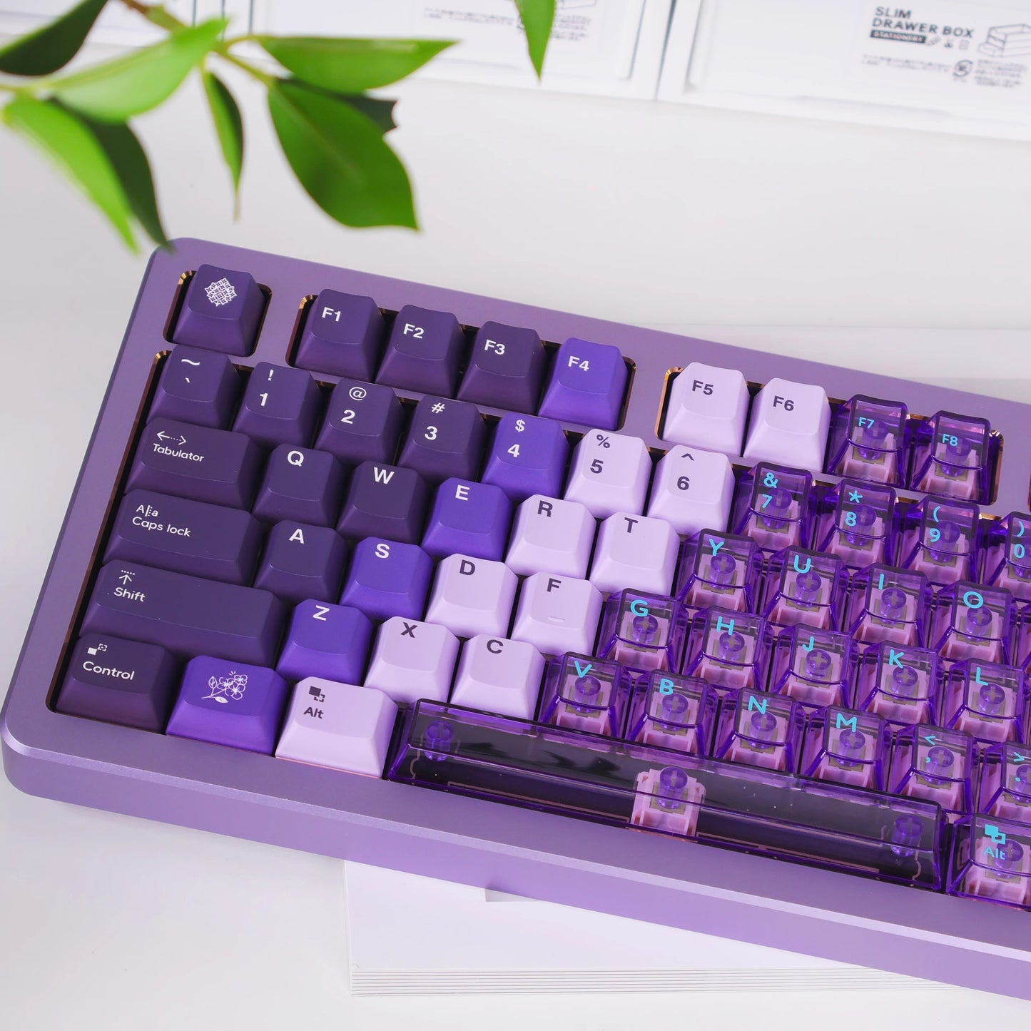 Snow Mountain Keycap Set, Cherry Profile, Dye Sub PBT + Transparent PC